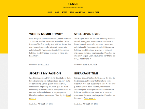 Screenshot of Sanse theme homepage