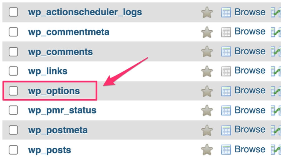 List of database tables with a red box around 'wp_options' and a red arrow pointing to it.